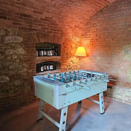 The Window On The Forest View *