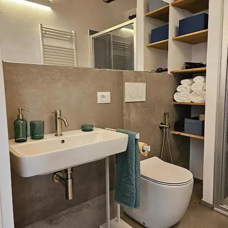 The Window On The Forest View *