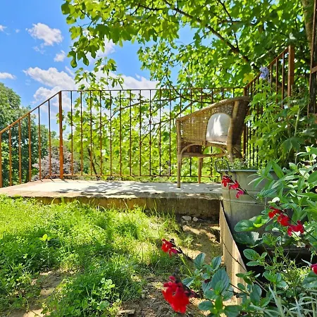 The Window On The Forest View Hébergement de vacances *