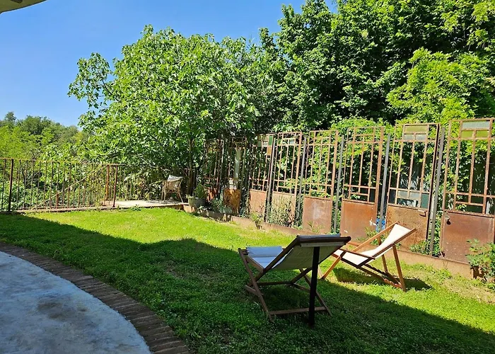 The Window On The Forest View